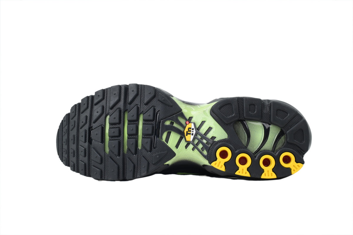 Nike Air Max Plus Sneakers | EU 39¨C47.5