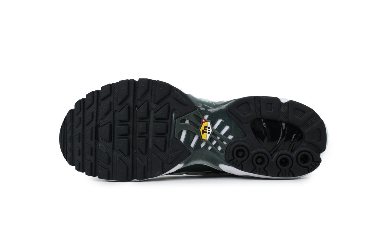 Nike Air Max Plus Sneakers | EU 39¨C47.5