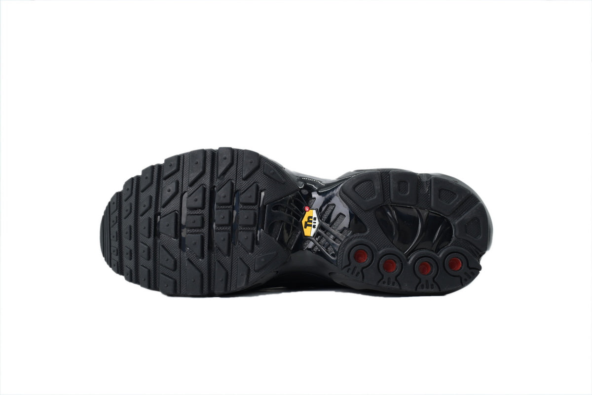 Nike Air Max Plus Sneakers | EU 39¨C47.5