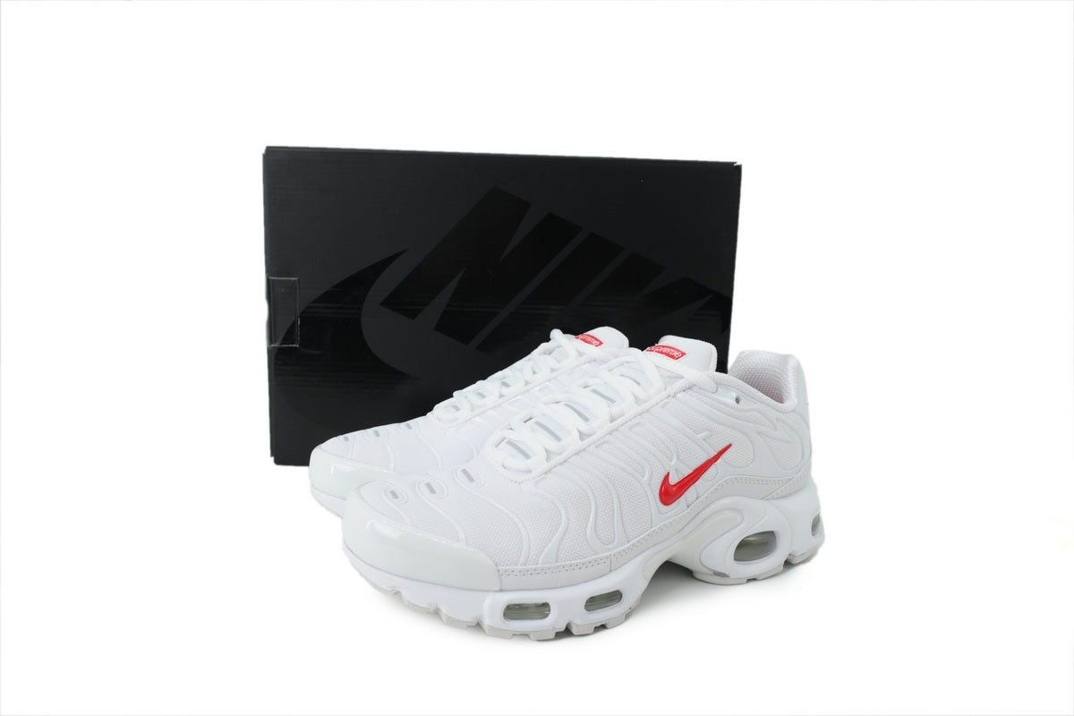 Nike Air Max Plus Sneakers | EU 39¨C47.5